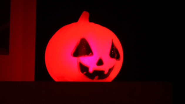 pumpkin1[1]