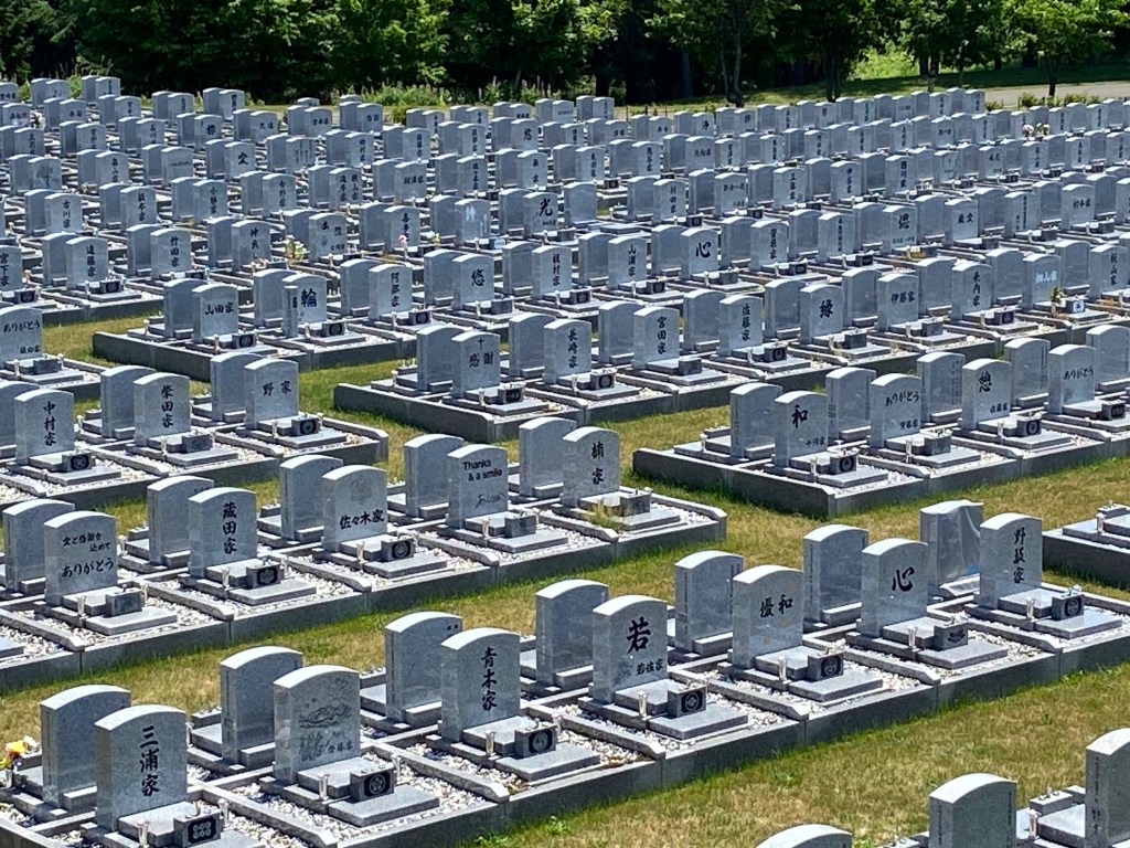 Endless rows of gravestones stretch across Makomanai Takino Cemetery—flowers, silence, and summer wind.